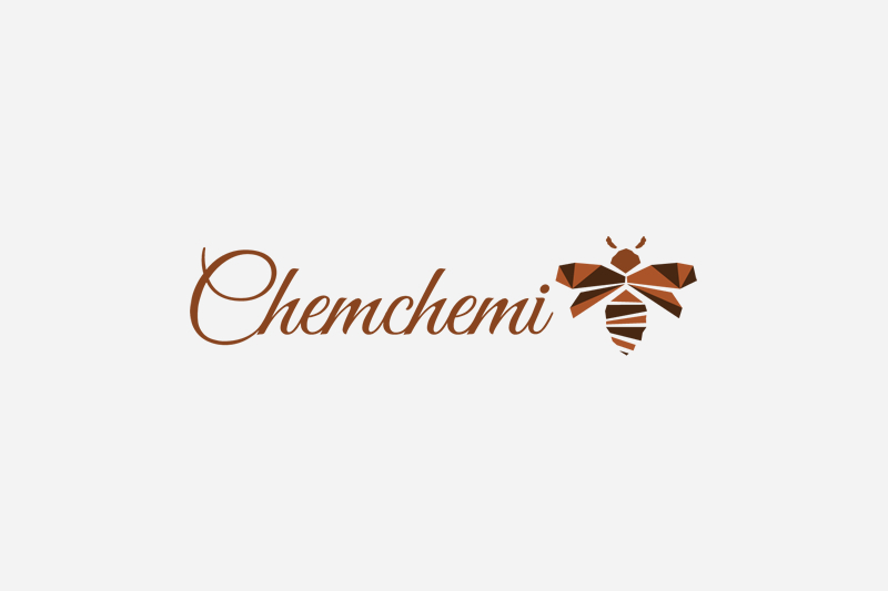Chemchemi logo design